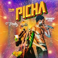Picha (Remix) ft Amalon