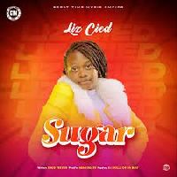 Sugar - Liz Cied