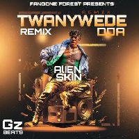 Alien skin - Twanywede Dda (Remix)