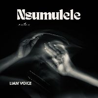 Nsumulule HQ - Liam Voice