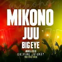 Big Eye By Mikono Juu