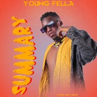 Summary - Young Fella