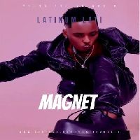 Magnet - Latinum