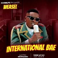 Radio & Weasel - International Bae